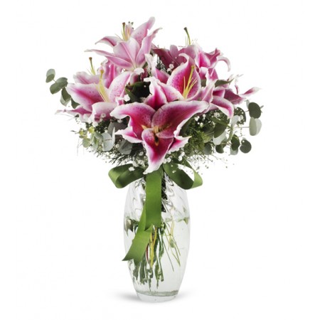Pembe Lilyum Rüyası